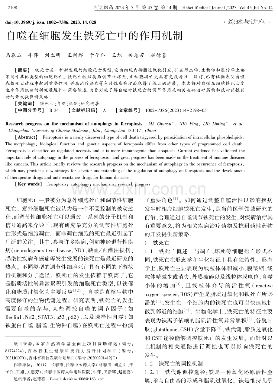 自噬在细胞发生铁死亡中的作用机制.pdf_第1页