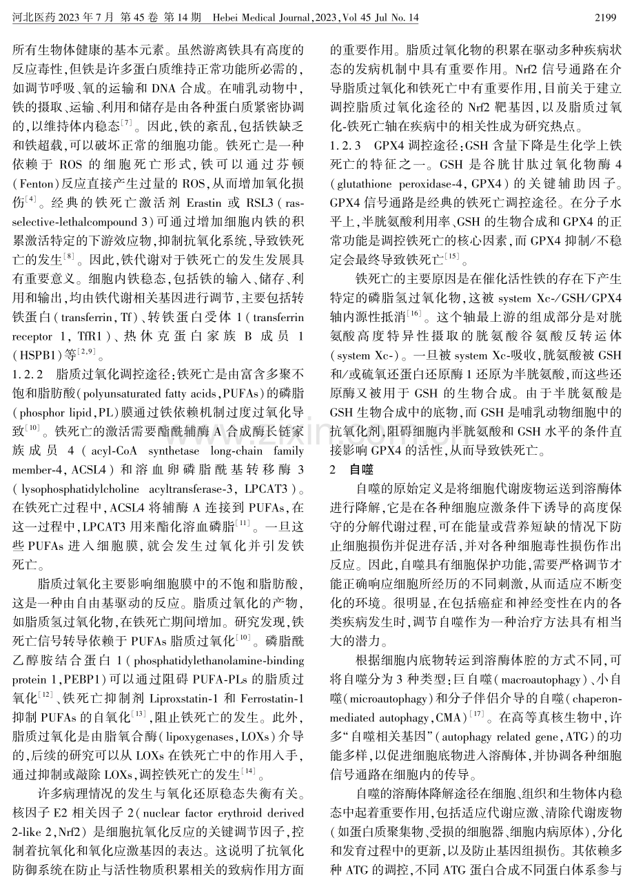 自噬在细胞发生铁死亡中的作用机制.pdf_第2页