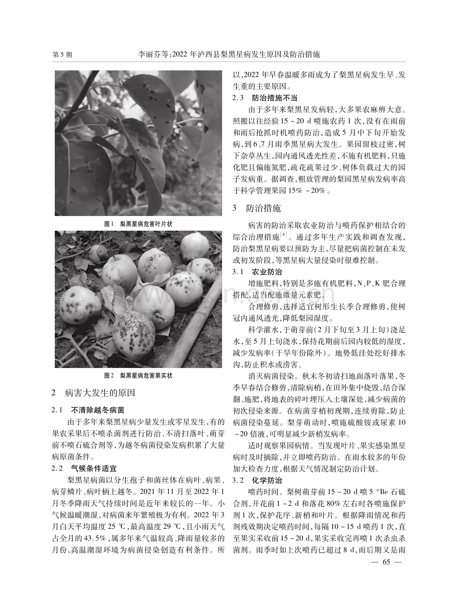 2022年泸西县梨黑星病发生原因及防治措施.pdf_第2页