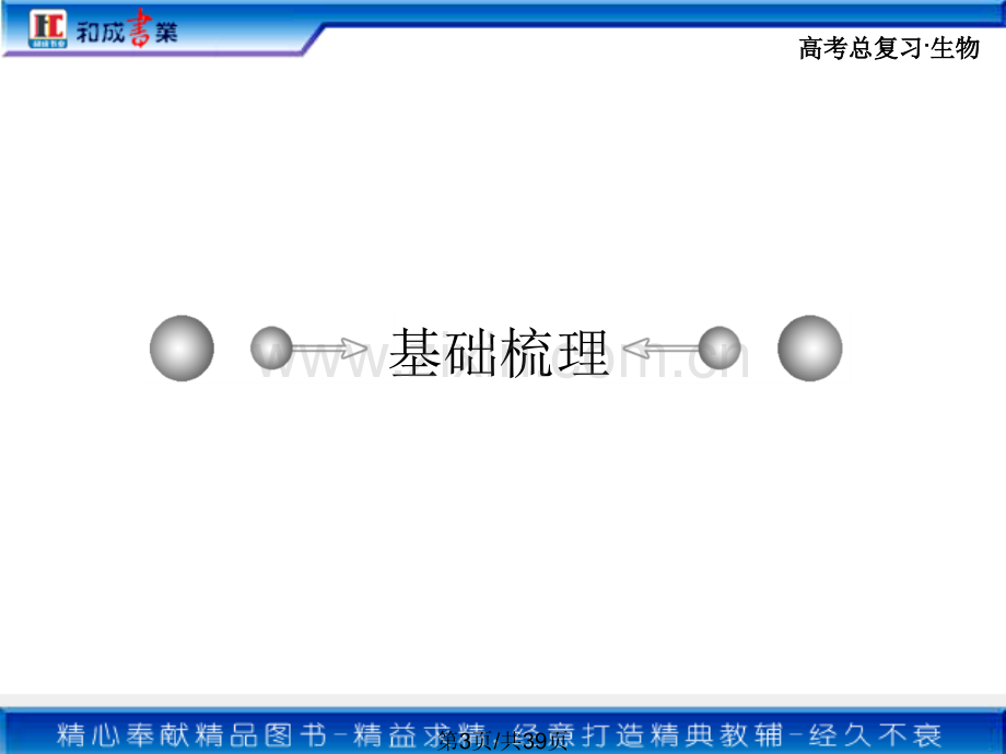 必修二生物总复习1.pptx_第3页