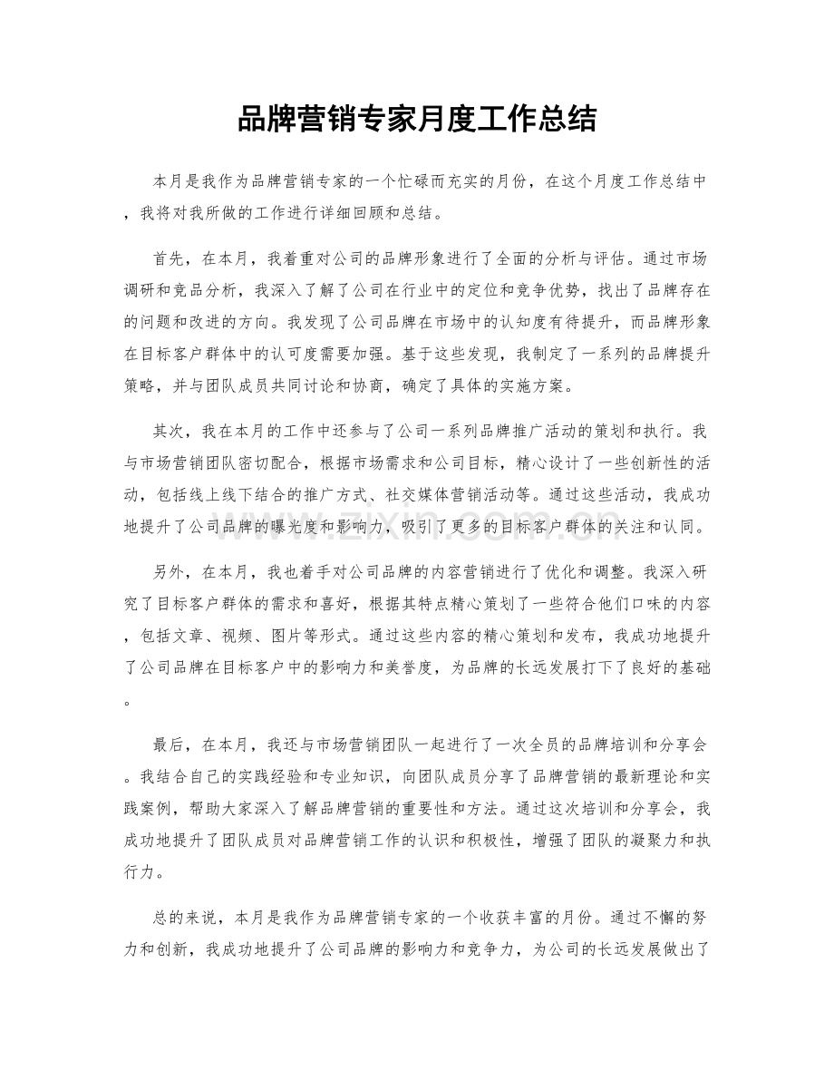 品牌营销专家月度工作总结.docx_第1页