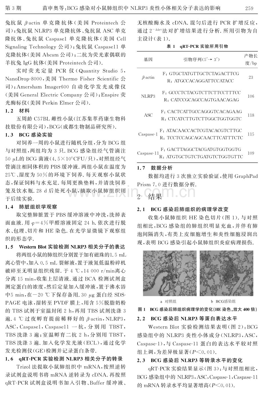 BCG感染对小鼠肺组织中NLRP3炎性小体相关分子表达的影响.pdf_第2页