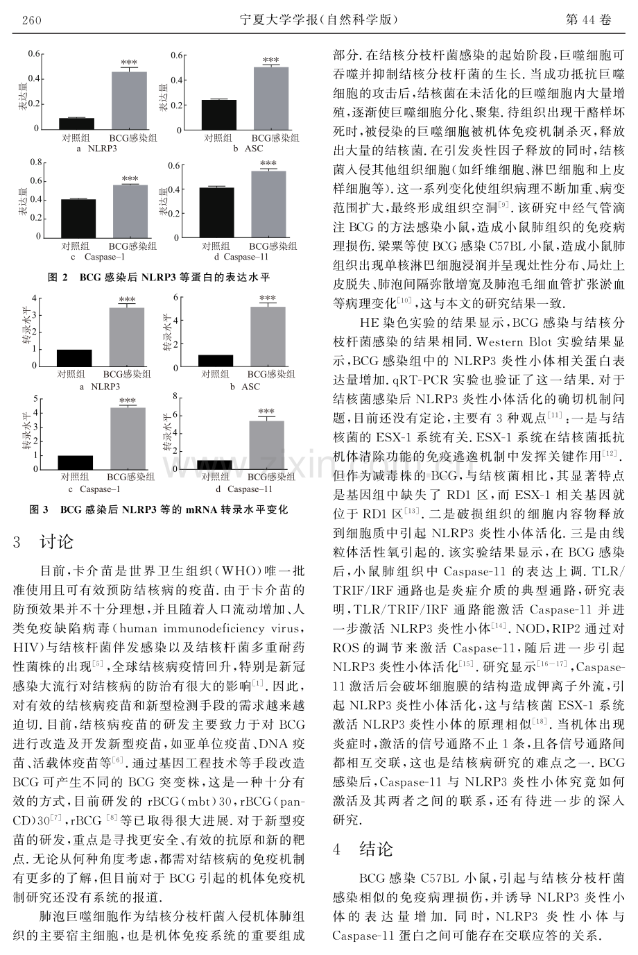 BCG感染对小鼠肺组织中NLRP3炎性小体相关分子表达的影响.pdf_第3页