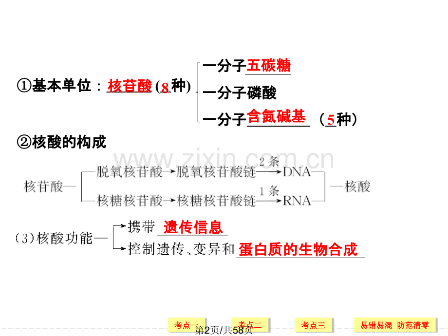 第4讲-糖类和脂质.ppt_第2页