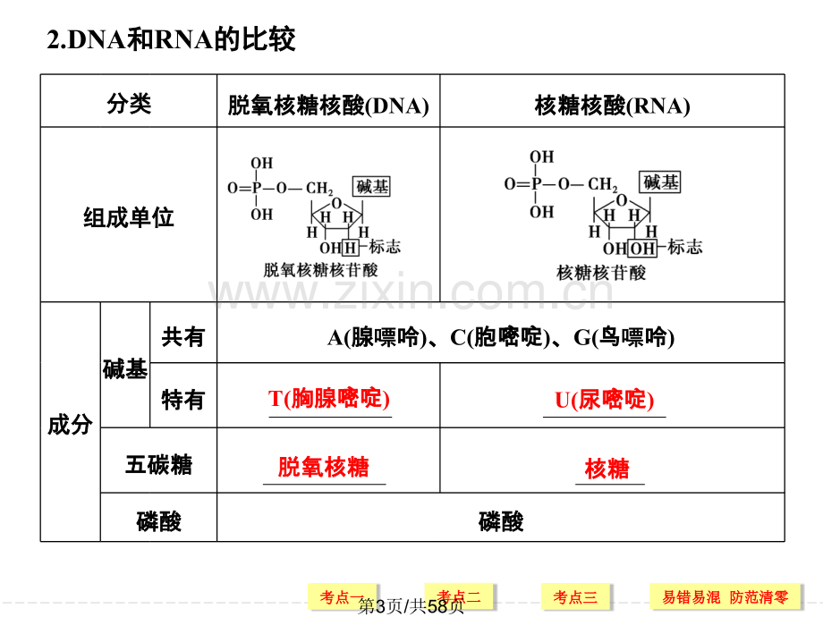 第4讲-糖类和脂质.ppt_第3页