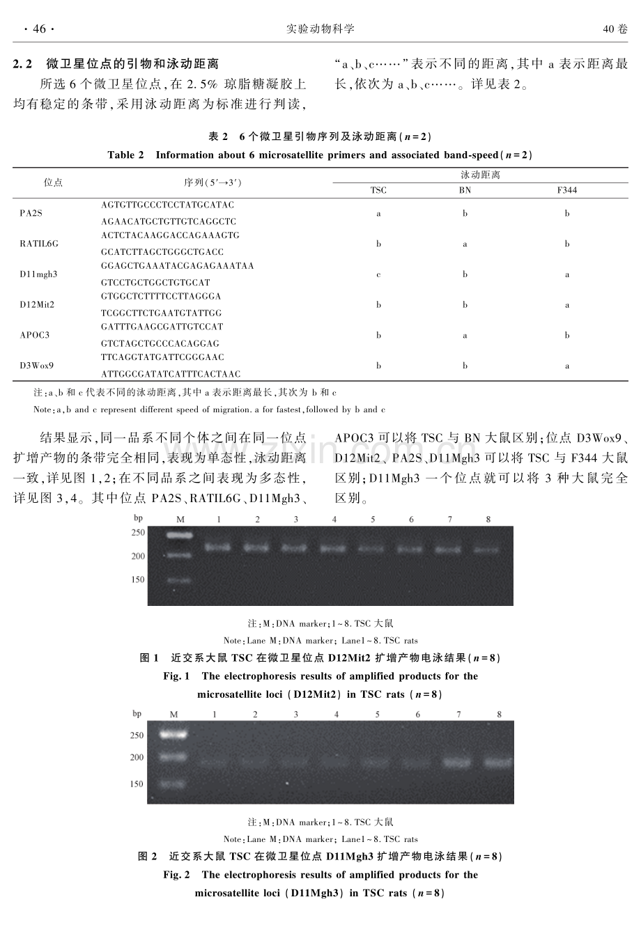 自发性先天性白内障大鼠遗传状况分析.pdf_第3页