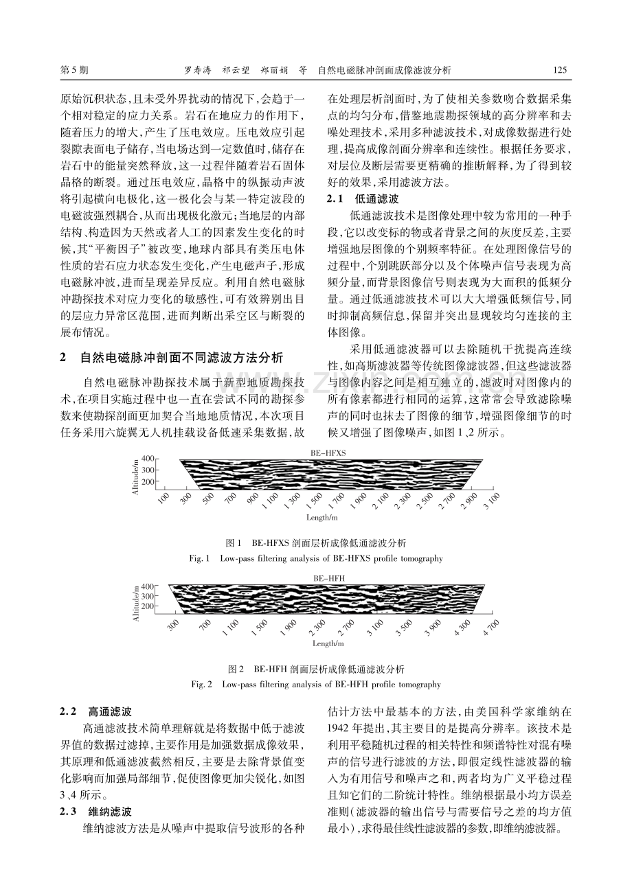 自然电磁脉冲剖面成像滤波分析.pdf_第2页