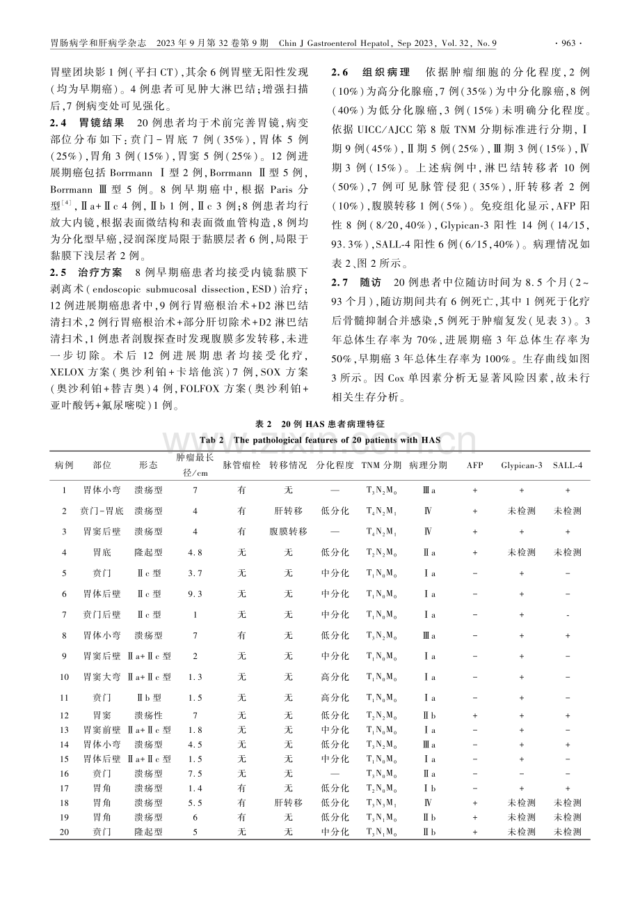 20例胃肝样腺癌临床病理特征分析.pdf_第3页