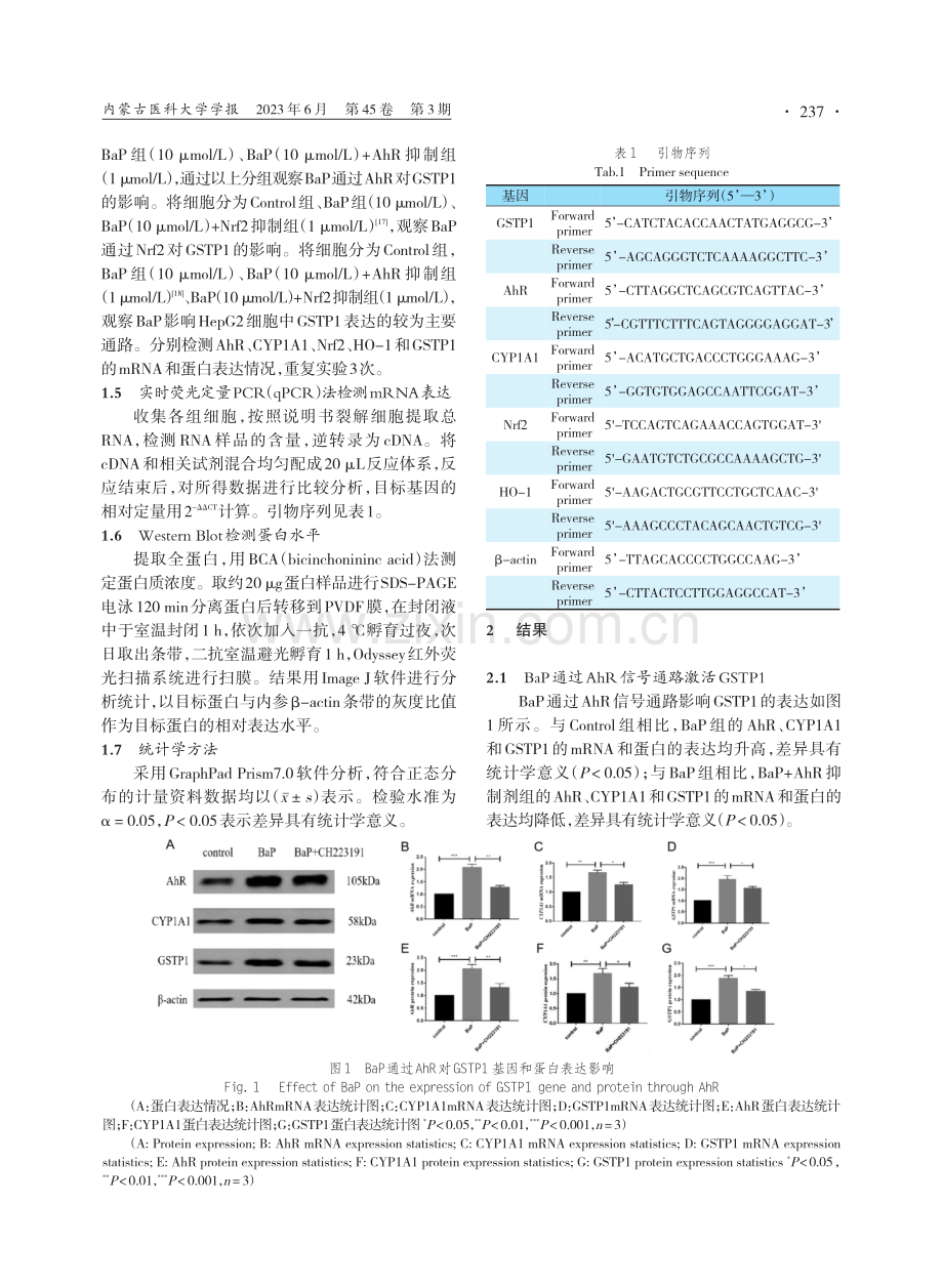 BaP通过AhR和Nrf2信号通路对HepG2细胞中GSTP1的影响.pdf_第3页