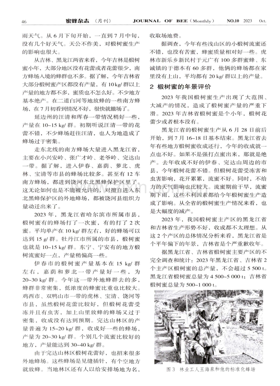 2023年椴树蜜生产情况综述.pdf_第2页