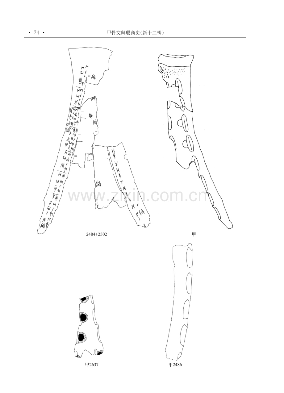 鑽鑿布局對於判斷甲骨綴合與組類的作用.pdf_第3页