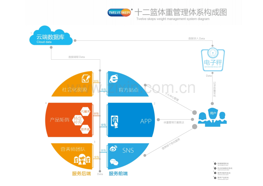 十二篮体重管理营养师.pptx_第3页