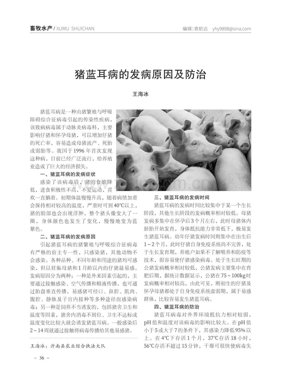 猪蓝耳病的发病原因及防治.pdf_第1页