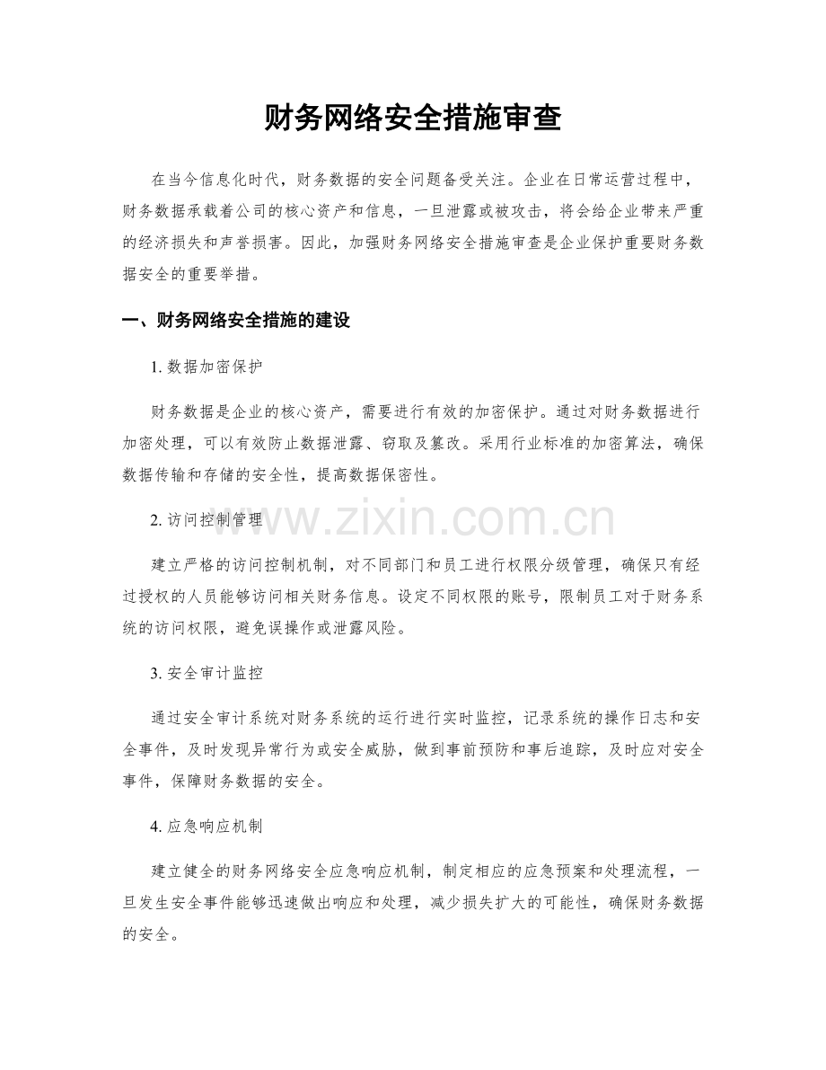 财务网络安全措施审查.docx_第1页