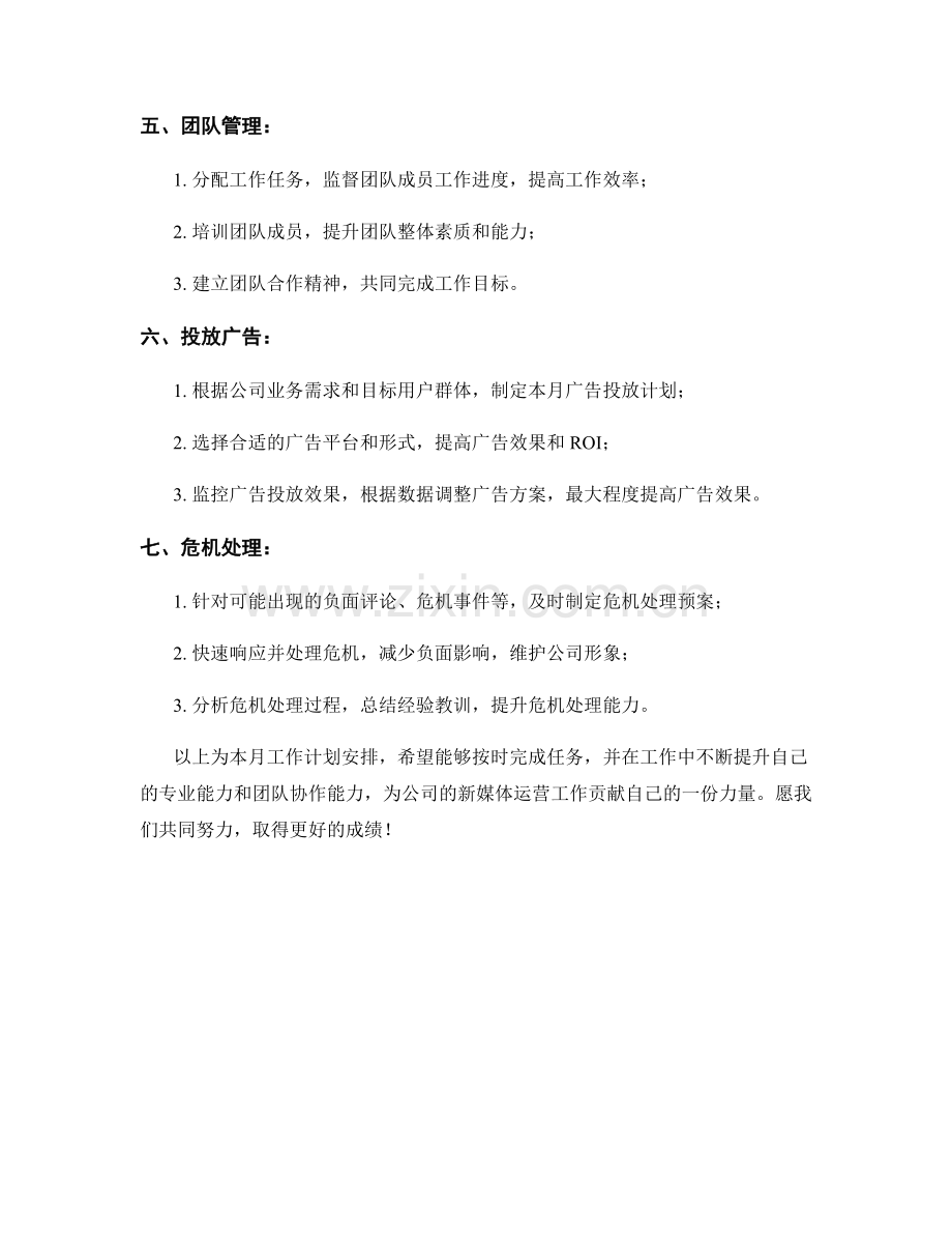 新媒体运营经理月度工作计划.docx_第2页