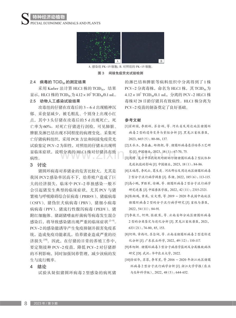 猪圆环病毒2型分离鉴定与致病性研究.pdf_第3页