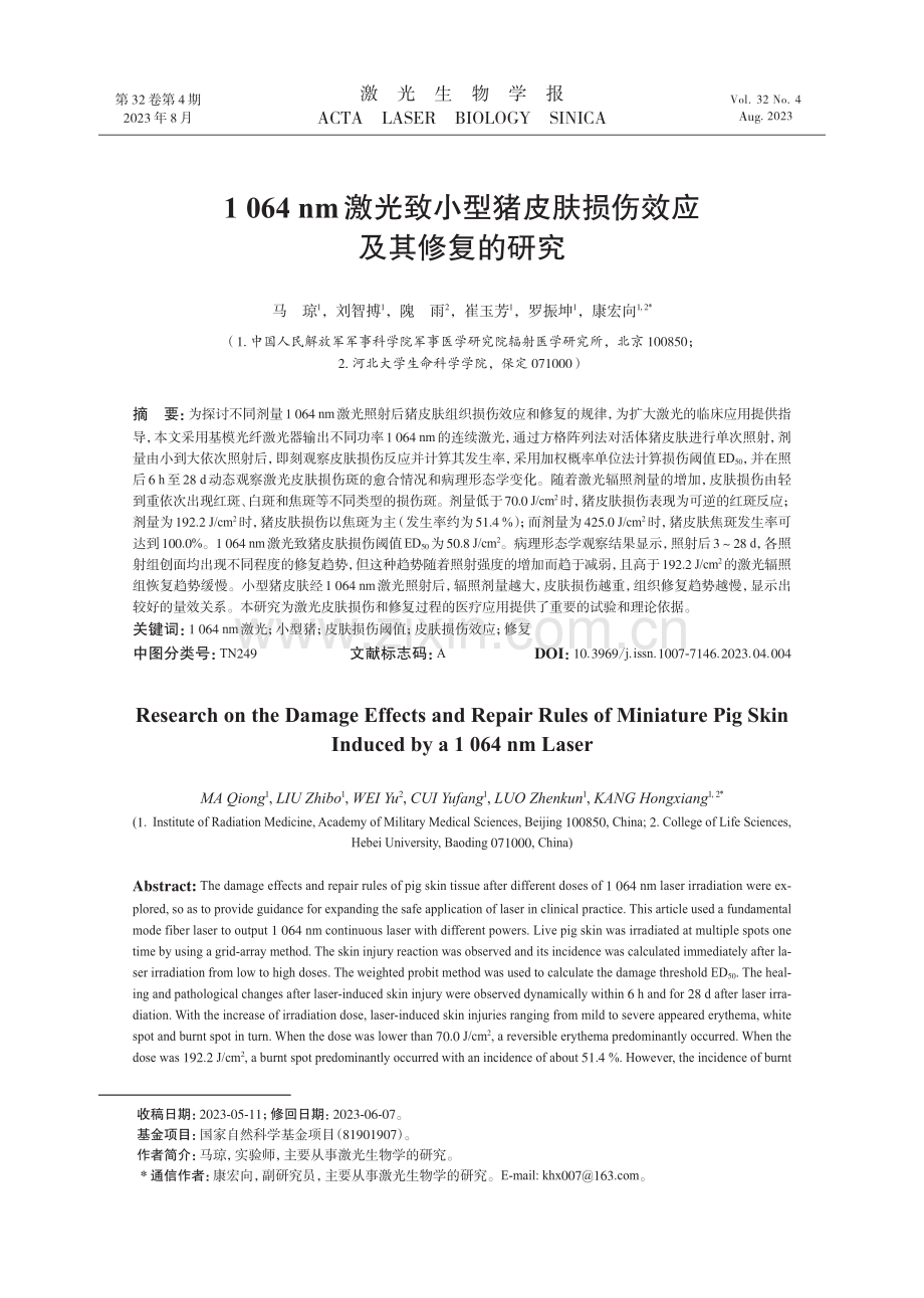 1064nm激光致小型猪皮肤损伤效应及其修复的研究.pdf_第1页