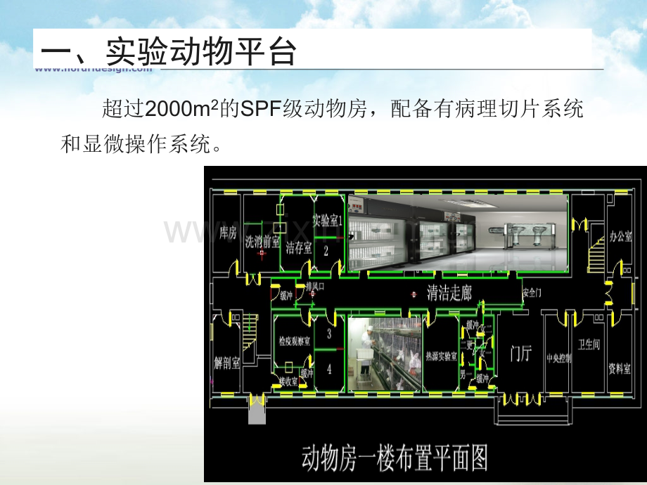 清华大学生物医学测试质谱中心概况及ETD离子源介绍.pptx_第3页