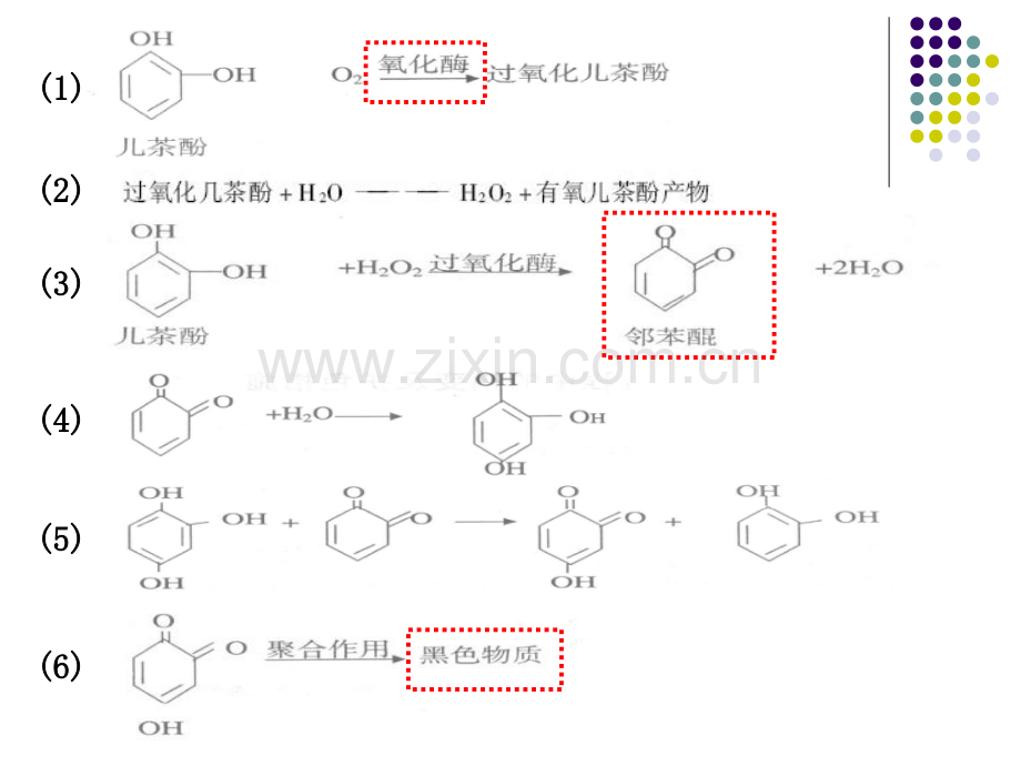 食品风味化学.pptx_第2页