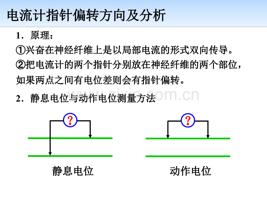 通过神经系统调节.pptx_第1页