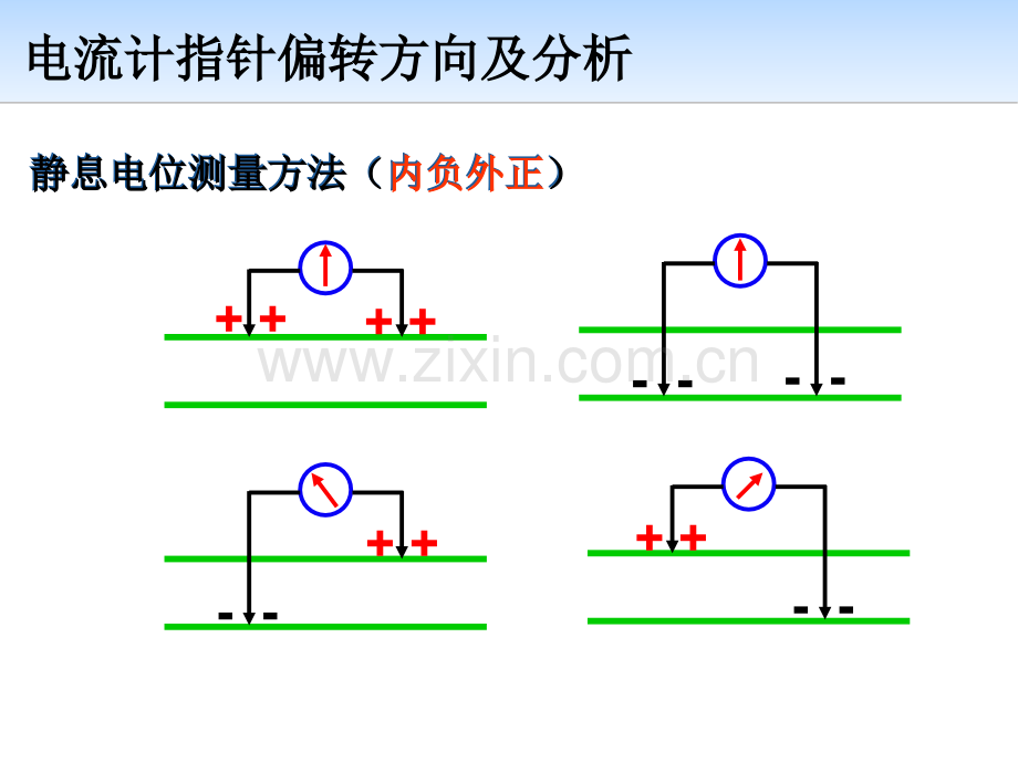 通过神经系统调节.pptx_第2页