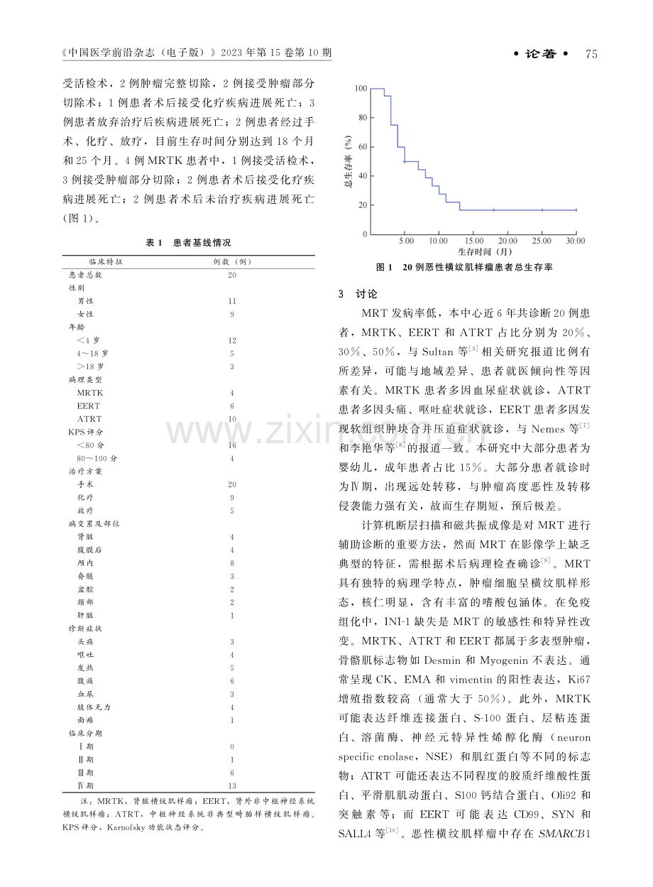 20例恶性横纹肌样瘤临床分析.pdf_第3页