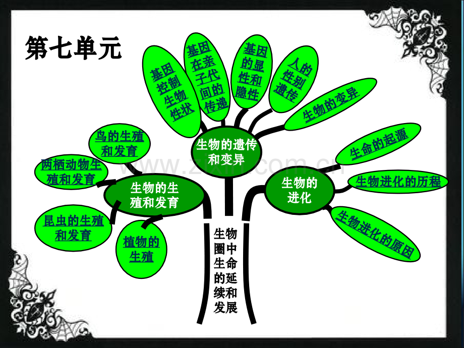 八年级生物下册总复习.pptx_第1页