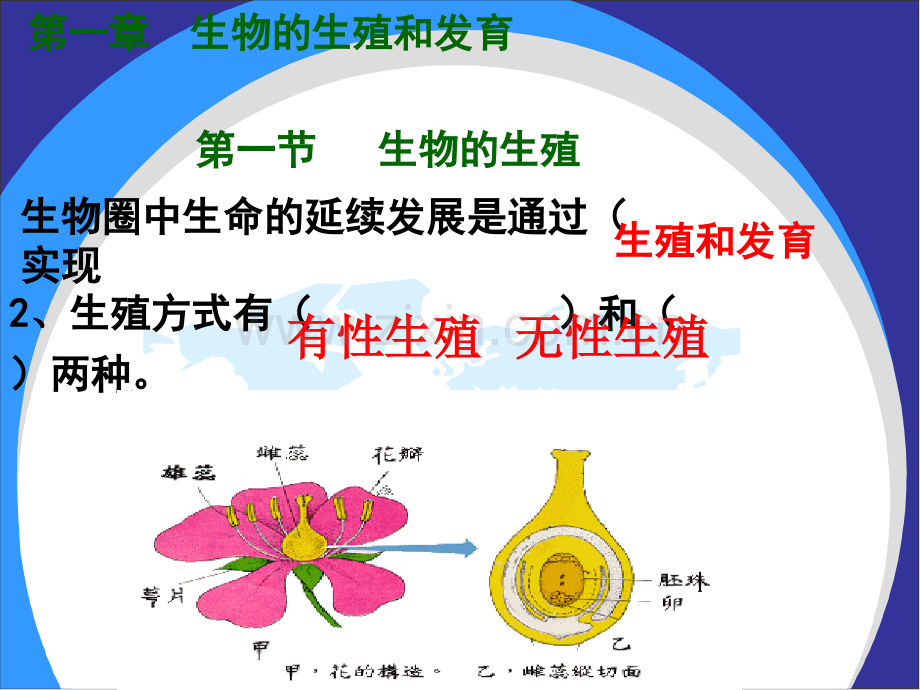 八年级生物下册总复习.pptx_第2页