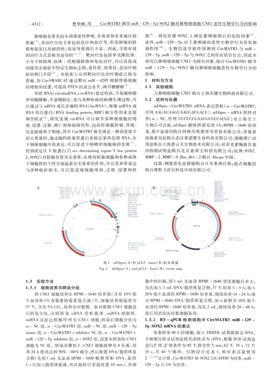 CircMATR3调节miR-129-5p_SOX2轴对鼻咽癌细胞CNE1恶性生物学行为的影响.pdf_第2页