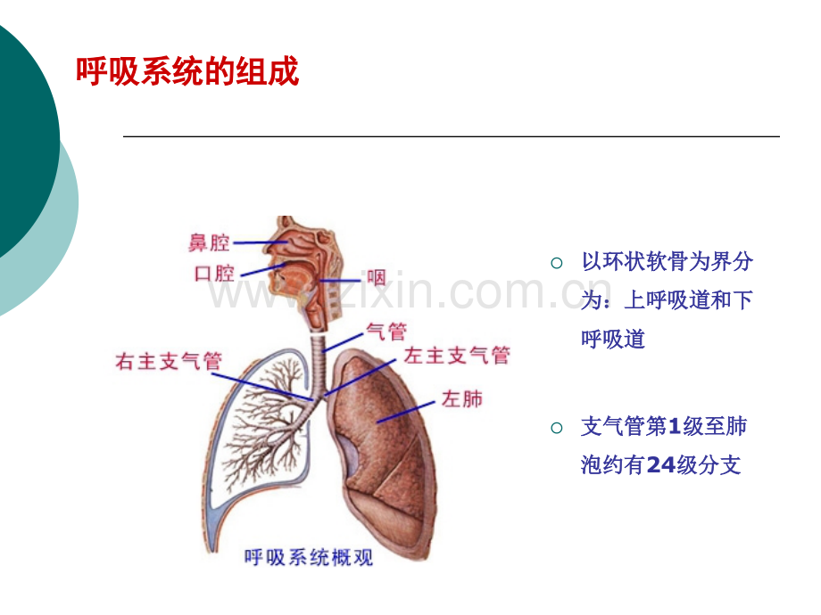 富露施幻灯片改.pptx_第2页