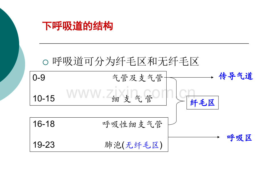 富露施幻灯片改.pptx_第3页