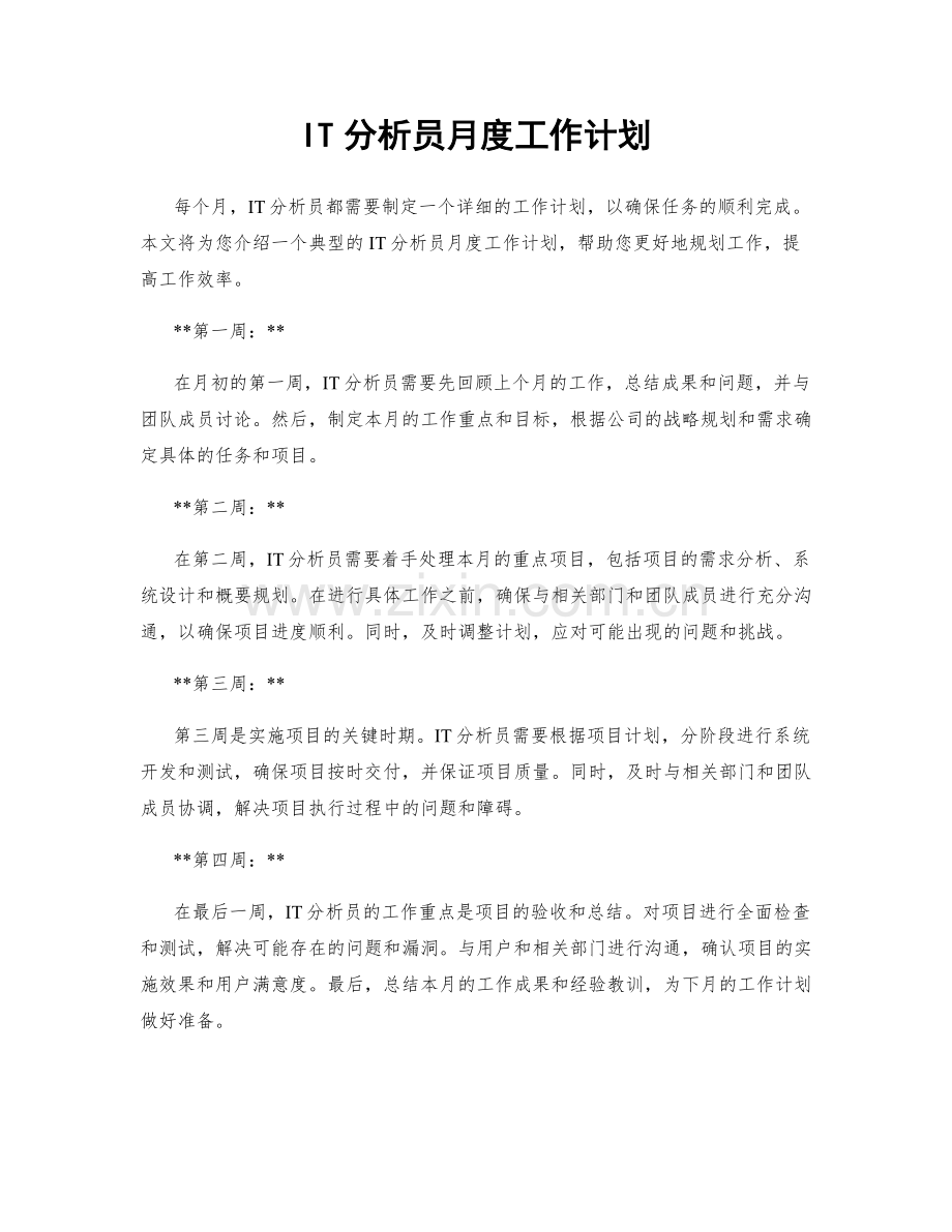 IT分析员月度工作计划.docx_第1页