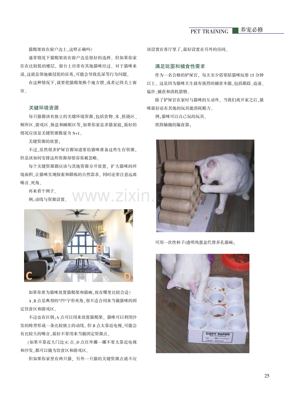 5点为猫咪打造完美宅家环境.pdf_第2页