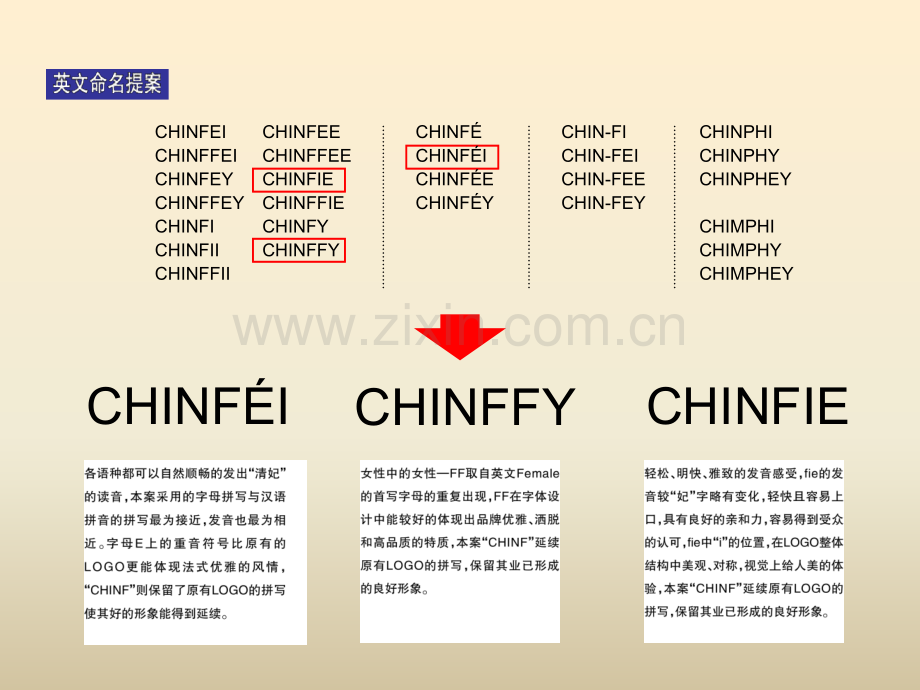 清妃VI品牌整合设计方案.pptx_第3页