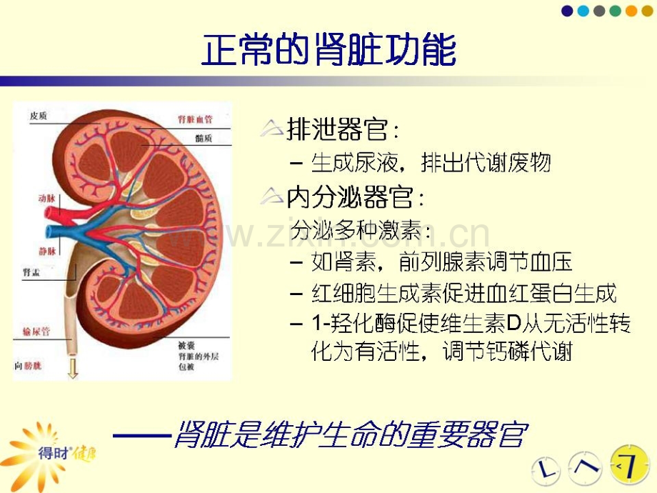 临床医学糖尿病肾病.pptx_第2页