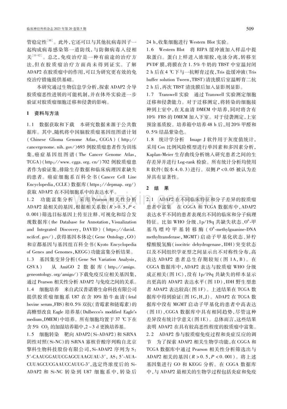 ADAP2在胶质瘤患者中的预后价值及功能研究.pdf_第2页