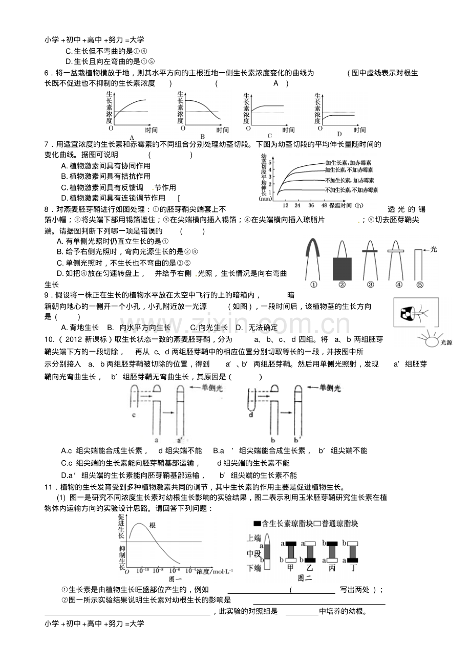 高考生物一轮复习《3.1植物生长素的发现》导学案新人教版必修3-(2).pdf_第3页