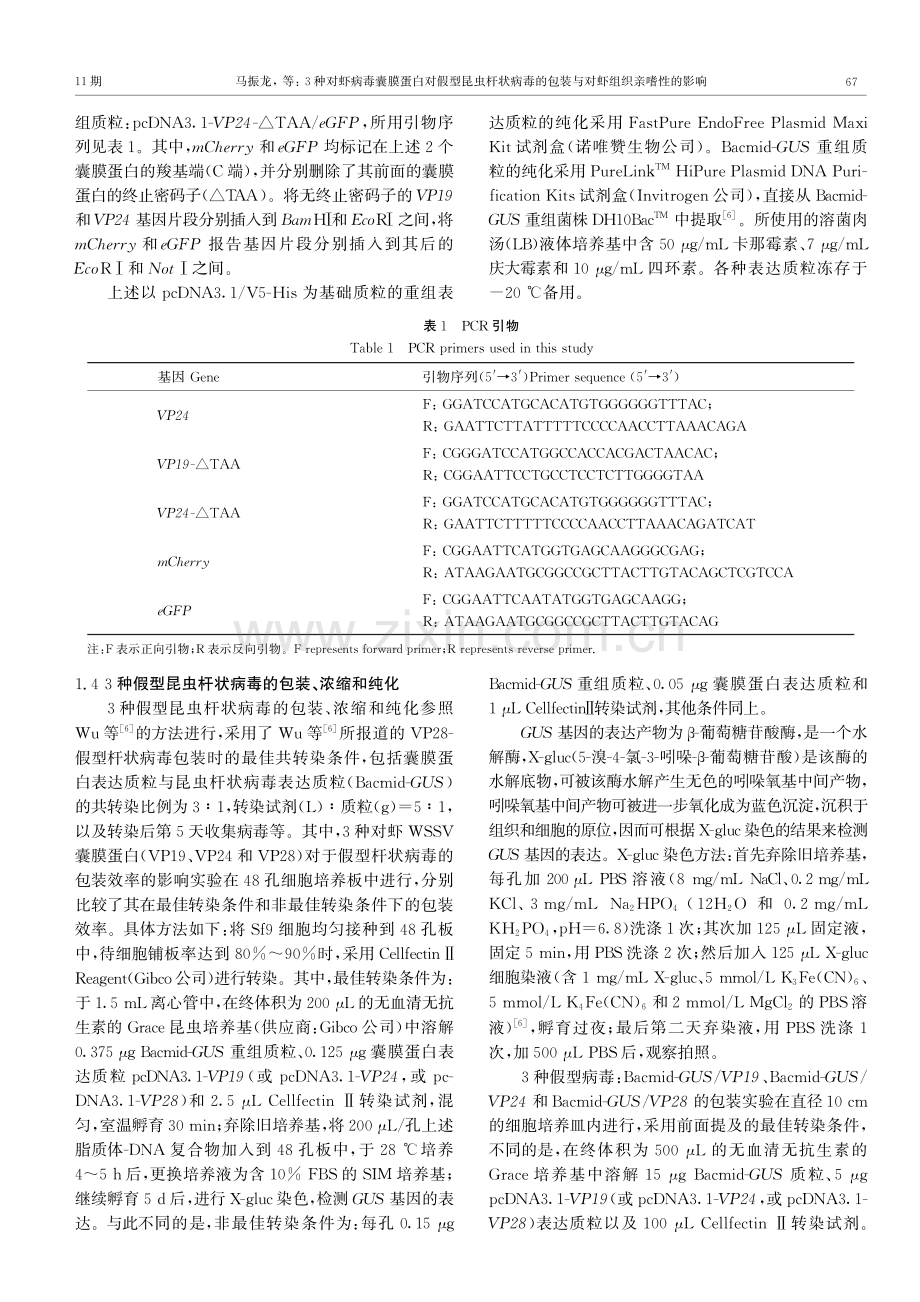 3种对虾病毒囊膜蛋白对假型昆虫杆状病毒的包装与对虾组织亲嗜性的影响.pdf_第3页