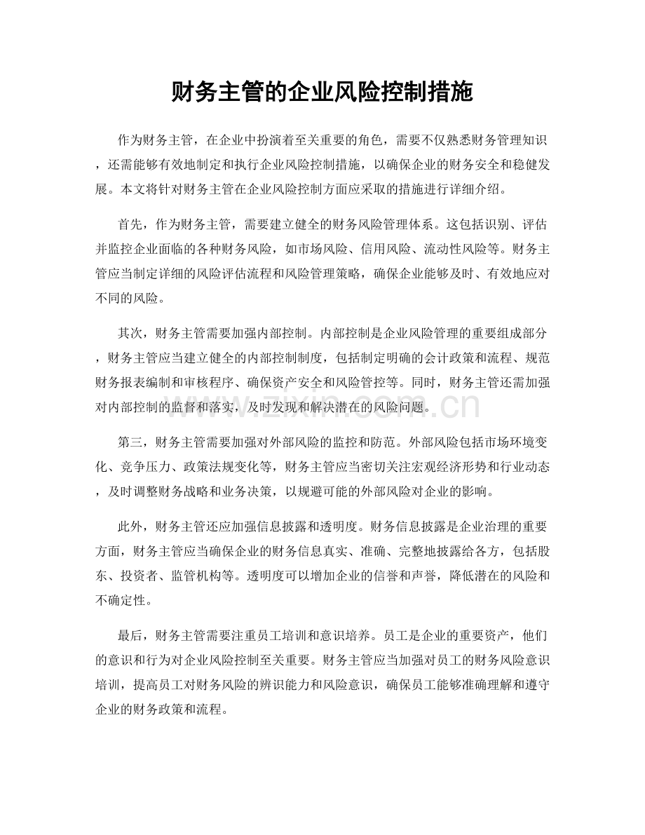 财务主管的企业风险控制措施.docx_第1页