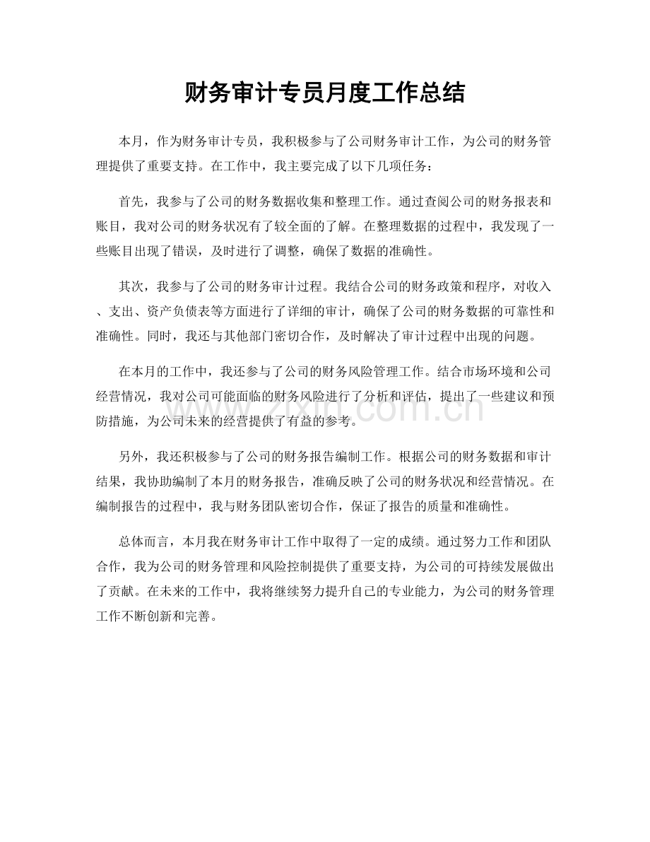 财务审计专员月度工作总结.docx_第1页