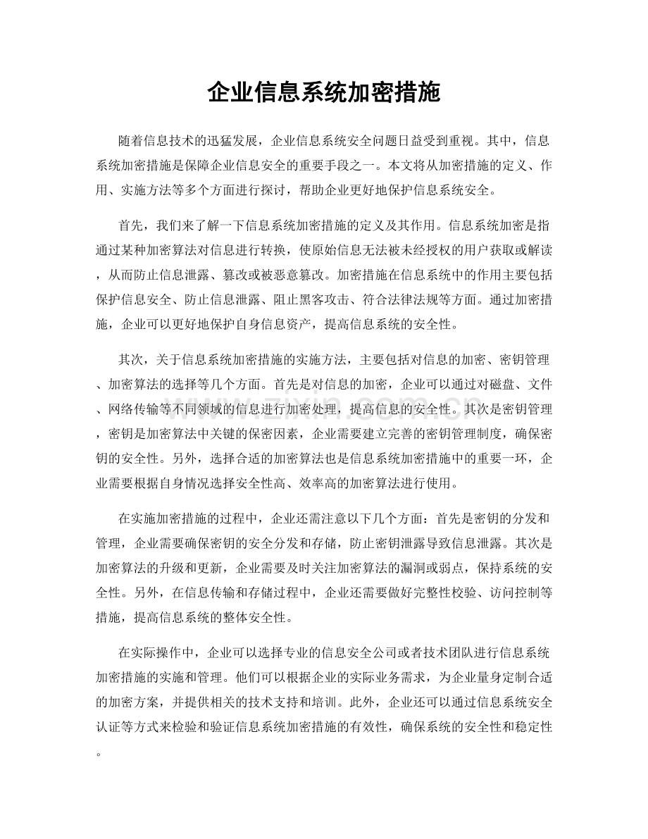 企业信息系统加密措施.docx_第1页