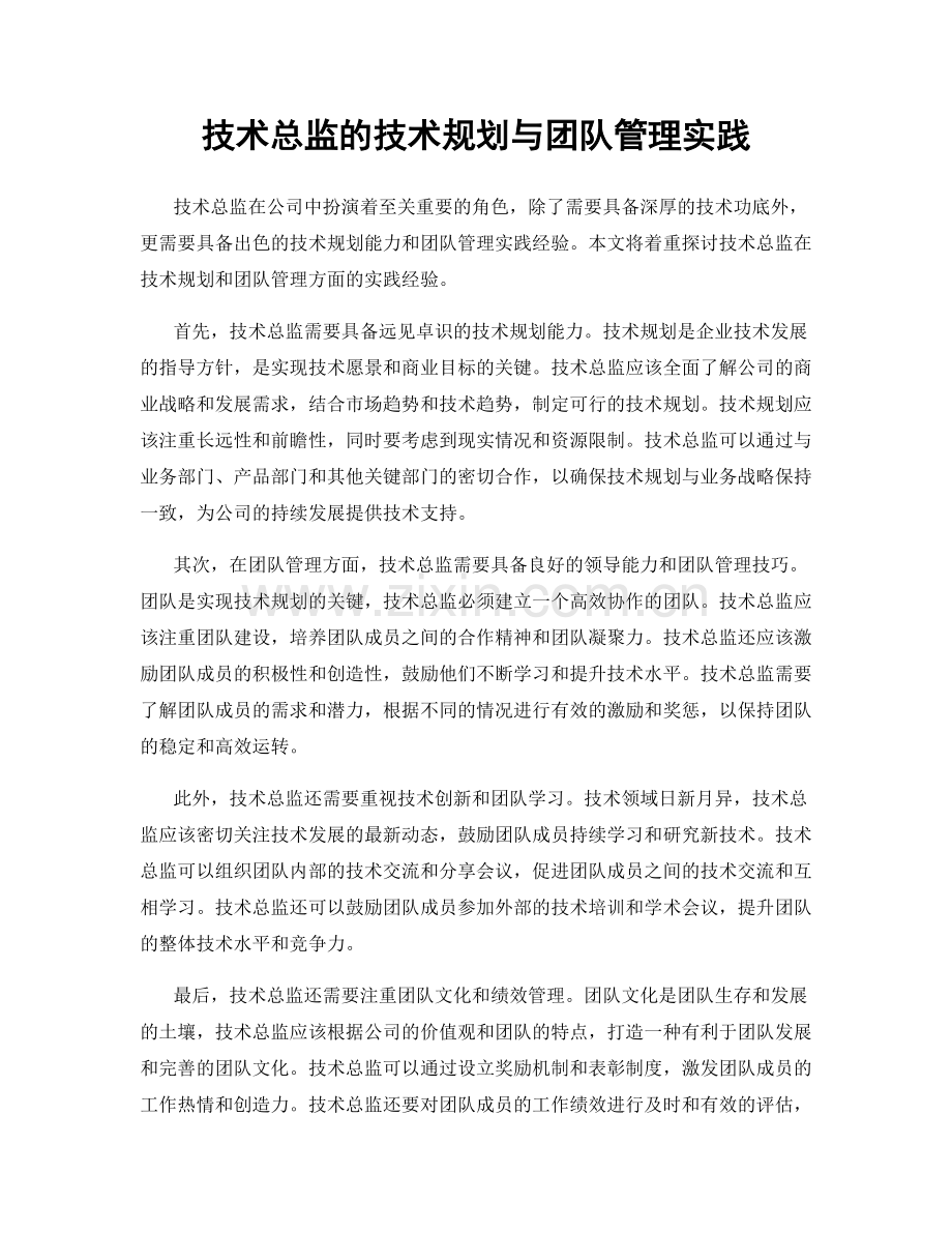 技术总监的技术规划与团队管理实践.docx_第1页