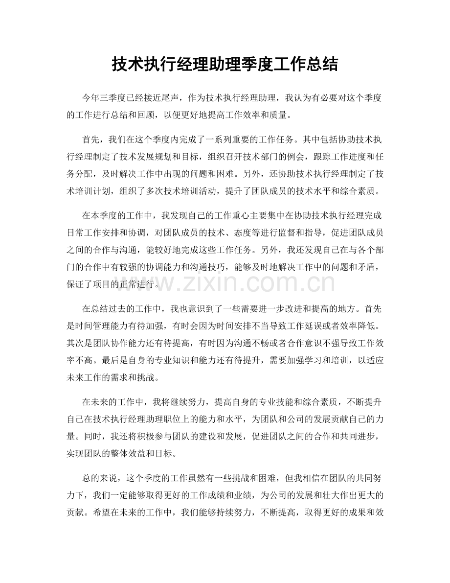 技术执行经理助理季度工作总结.docx_第1页