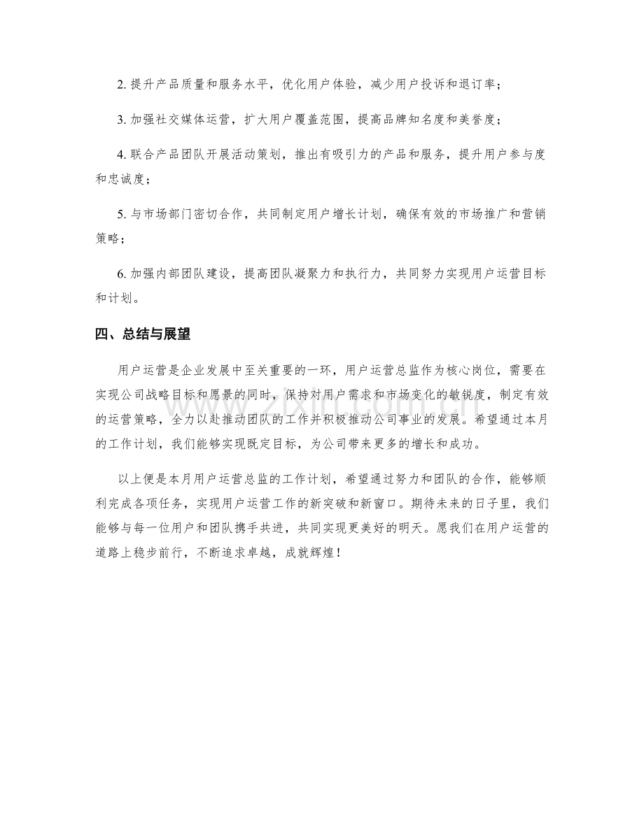 用户运营总监月度工作计划.docx_第2页