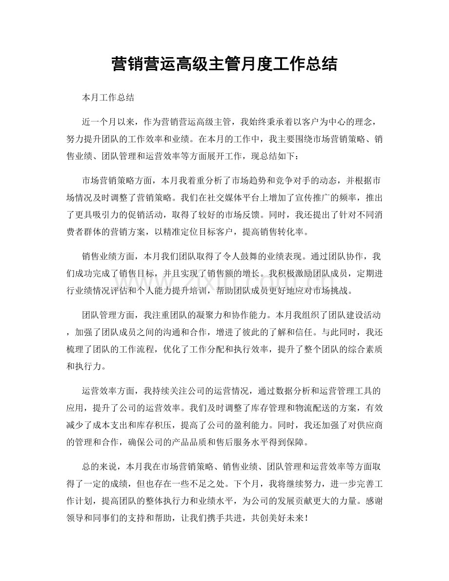 营销营运高级主管月度工作总结.docx_第1页