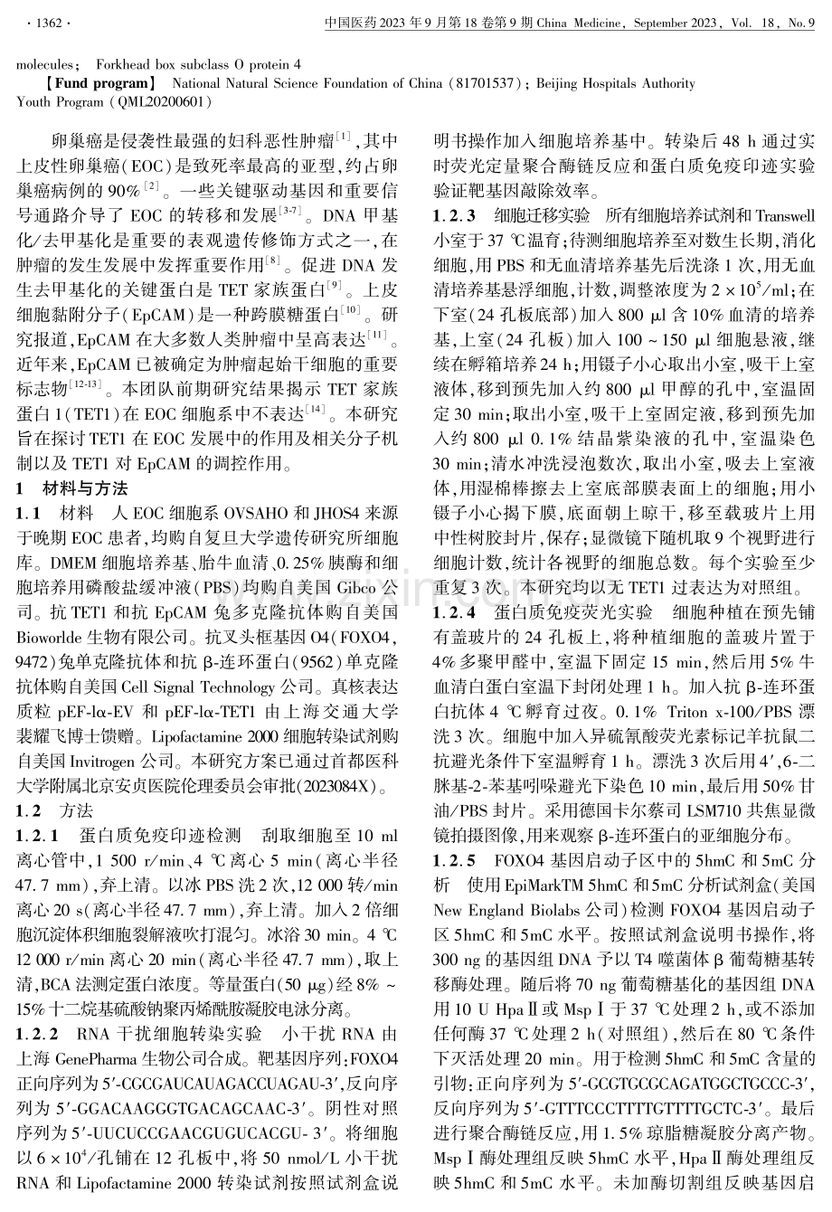 DNA双加氧酶TET家族蛋白1抑制上皮性卵巢癌转移的作用机制研究.pdf_第2页