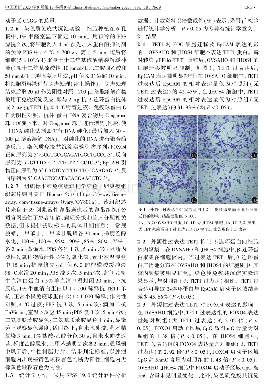 DNA双加氧酶TET家族蛋白1抑制上皮性卵巢癌转移的作用机制研究.pdf_第3页