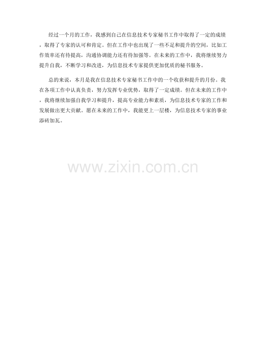 信息技术专家秘书月度工作总结.docx_第2页