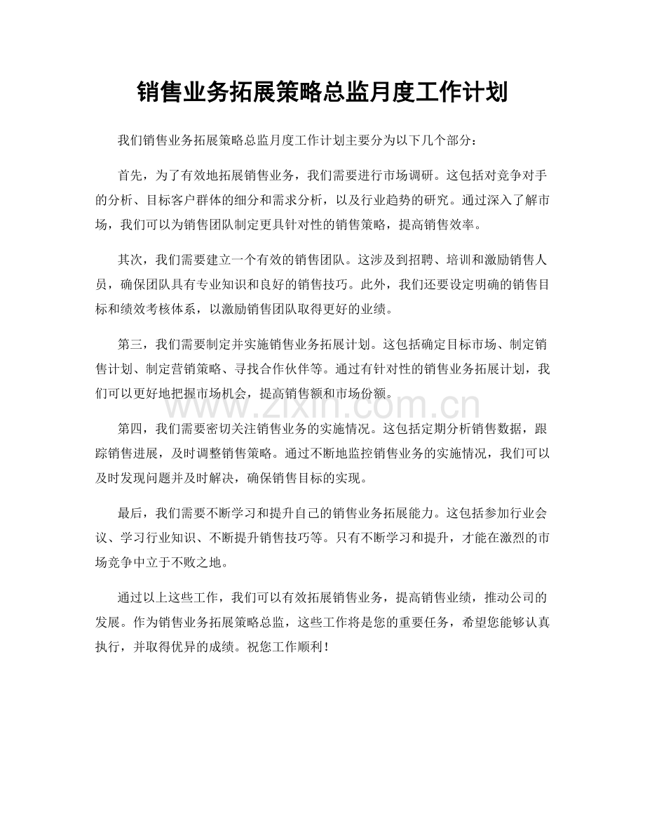 销售业务拓展策略总监月度工作计划.docx_第1页