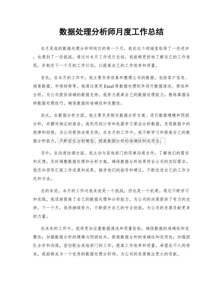 数据处理分析师月度工作总结.docx_第1页